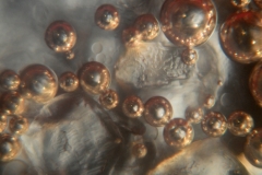 Macro/Micro