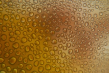 Amber Micro Drops