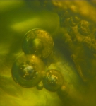 Micro Bubbles 8