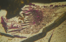 KMN04 Crystals 1