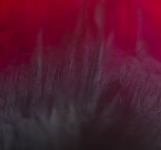 KNM04 Crystals 2
