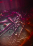 KMN04 Crystals 4