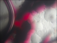 KMN04 In Solution