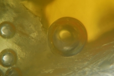 Micro Bubbles 2