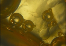 Micro Bubbles 3